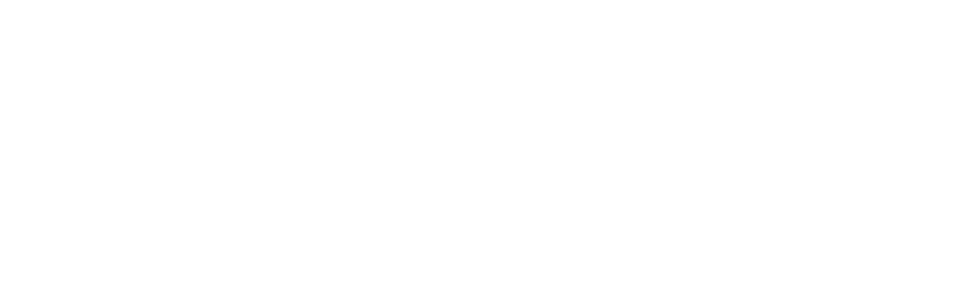 AAPA Test Small Logo